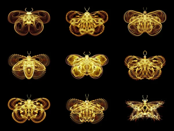Selección de mariposas fractales —  Fotos de Stock