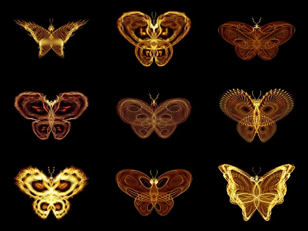 Výběr fraktální motýlů — Stock fotografie