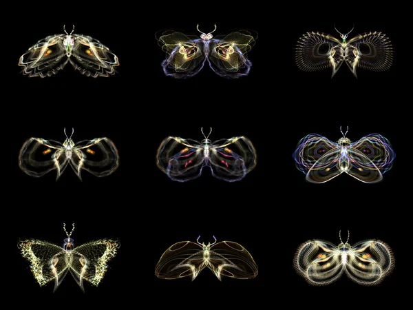 Visualization of Fractal Butterflies — Stock Photo, Image