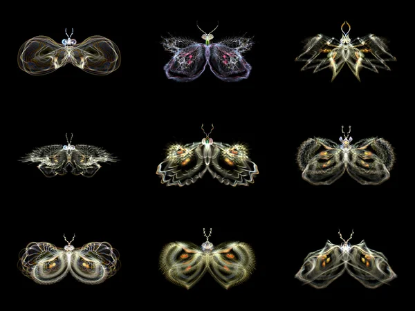 可视化的分形蝴蝶 — 图库照片