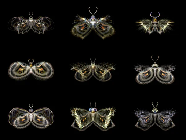 Visualisering av fraktal fjärilar — Stockfoto