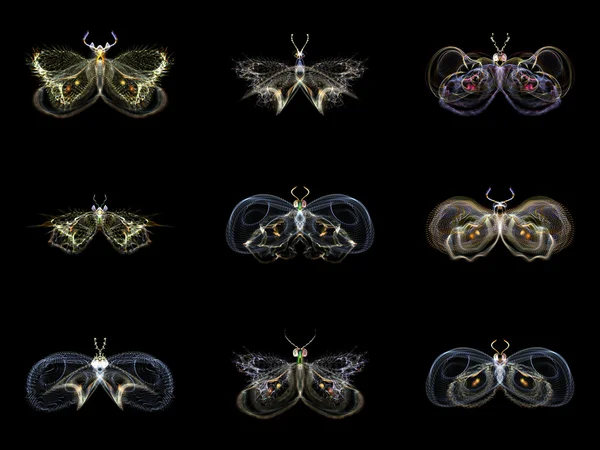 Visualization of Fractal Butterflies — Stock Photo, Image