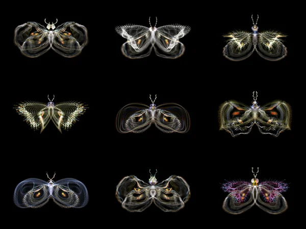 Visualization of Fractal Butterflies — Stock Photo, Image