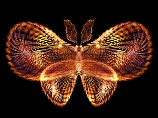 Projeto de borboleta — Fotografia de Stock