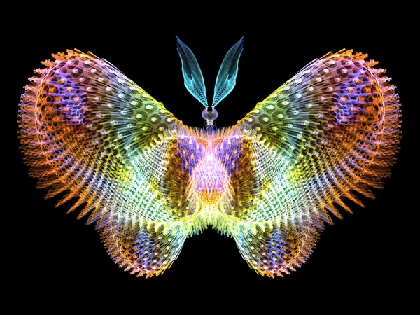 빛나는 나비 — 스톡 사진