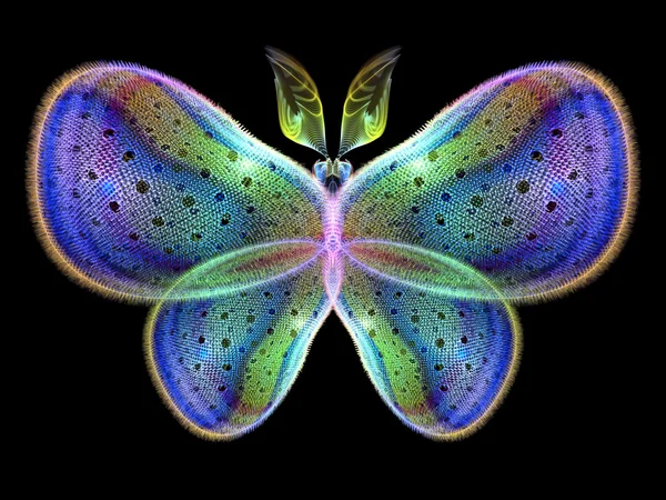 Butterfly Elements — Stock Photo, Image