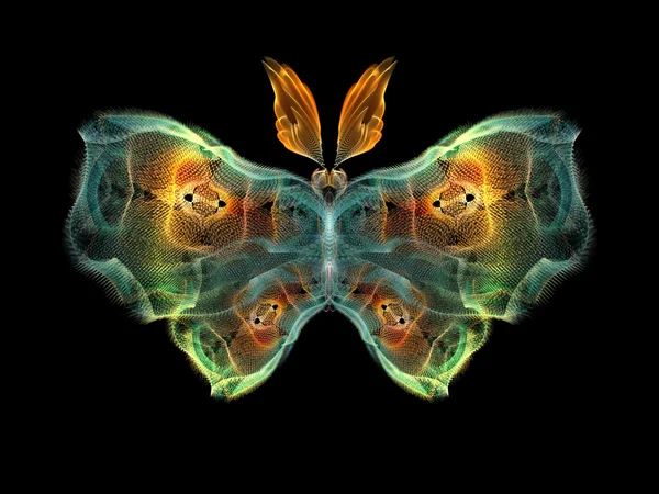 Elementi della farfalla — Foto Stock