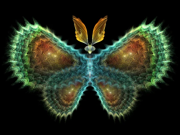 Elementi della farfalla — Foto Stock