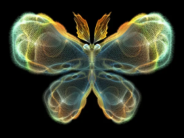 Butterfly Elements — Stock Photo, Image