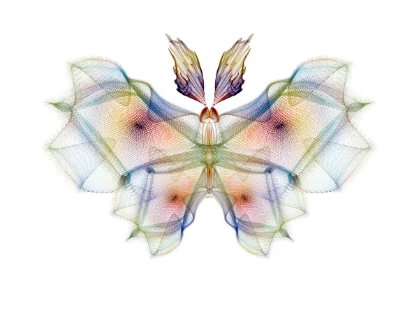 分形蝴蝶 — 图库照片