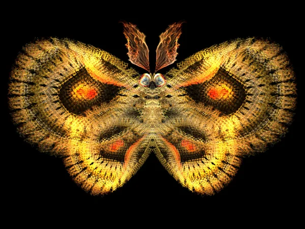 Ізольована метелик — стокове фото