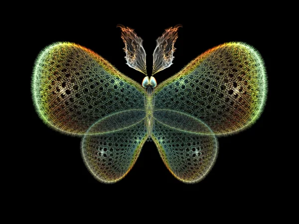 Geïsoleerde vlinder — Stockfoto