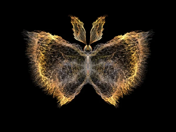 Izolované motýl — Stock fotografie