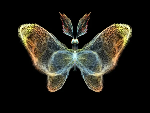 Isolierter Schmetterling — Stockfoto