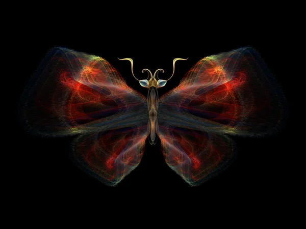 Ізольована метелик — стокове фото