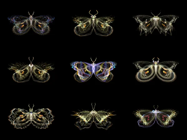 Visualization of Fractal Butterflies — Stock Photo, Image