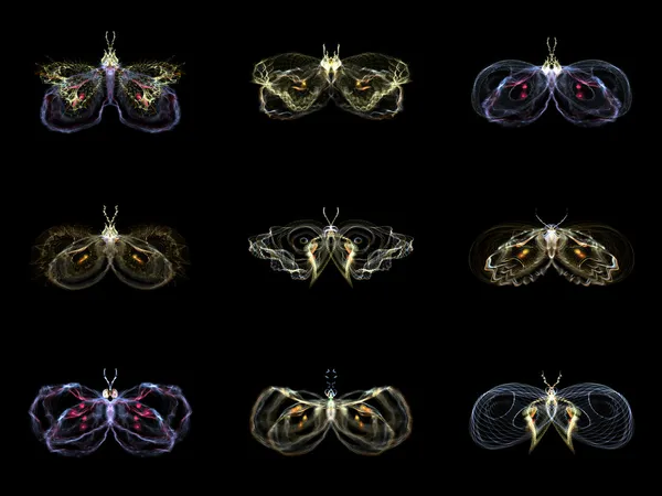 Visualization of Fractal Butterflies — Stock Photo, Image