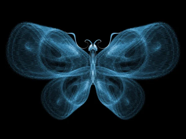 Élégance papillon — Photo