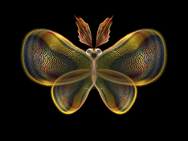 Butterfly Elements — Stock Photo, Image