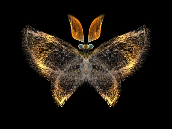나비 요소 — 스톡 사진