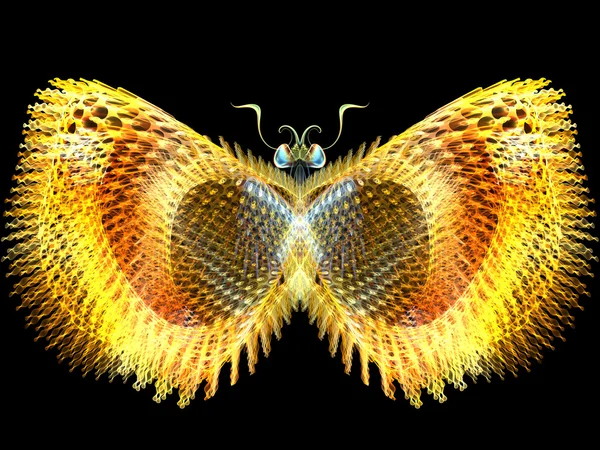 Метелик елементів — стокове фото