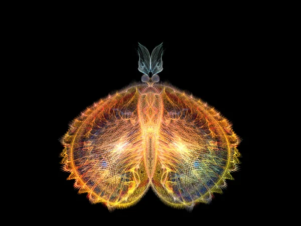 Farfalla intricata — Foto Stock