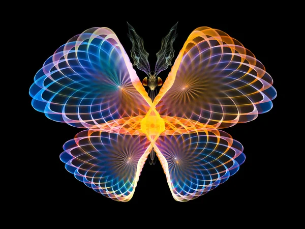 Colorful Butterfly — Stock Photo, Image