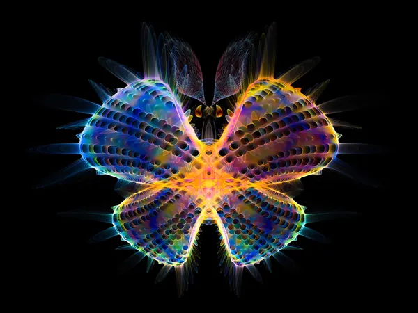 Яркая бабочка — стоковое фото