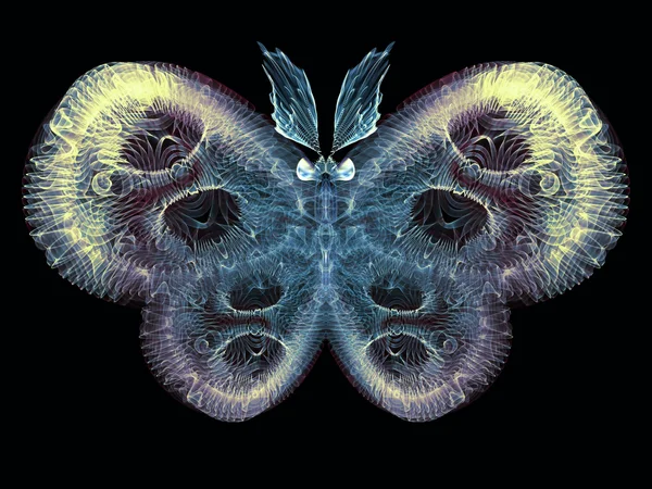 Прохладная бабочка — стоковое фото