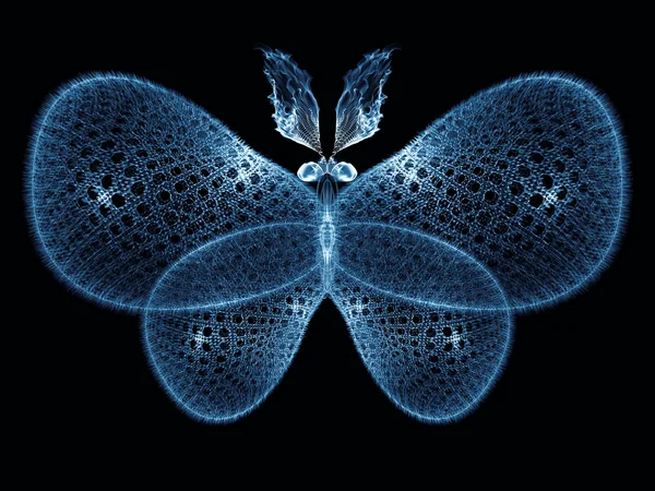 蝴蝶的错觉 — 图库照片