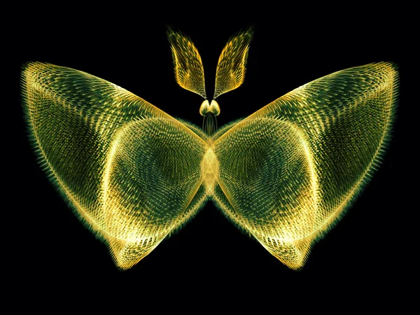 나비의 마법 — 스톡 사진