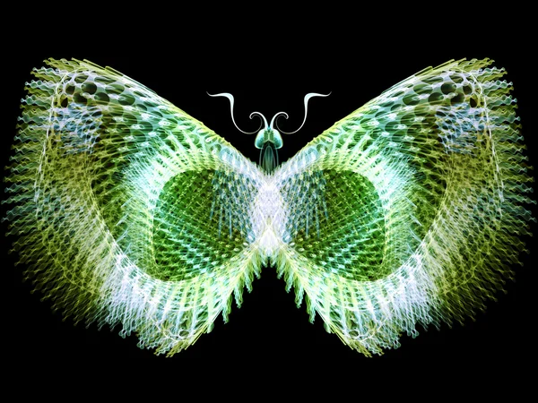 나비 추상화 — 스톡 사진