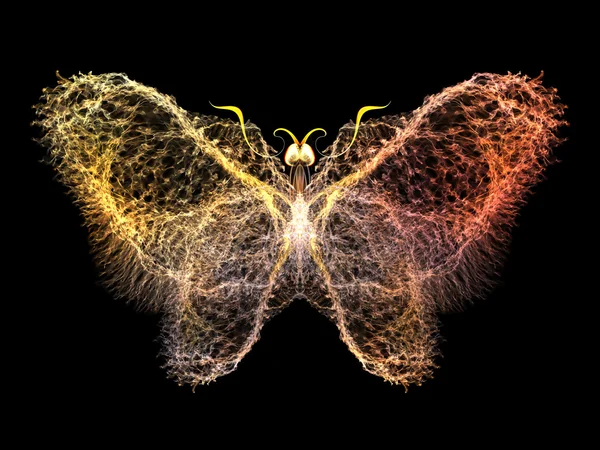 Πεταλούδα οπτικοποίηση — Φωτογραφία Αρχείου