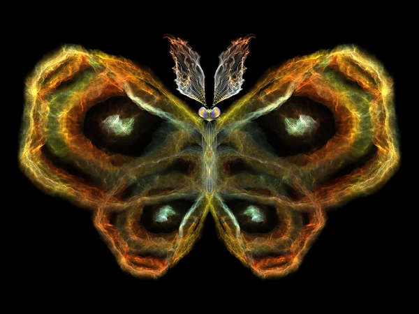 Elementos borboleta — Fotografia de Stock