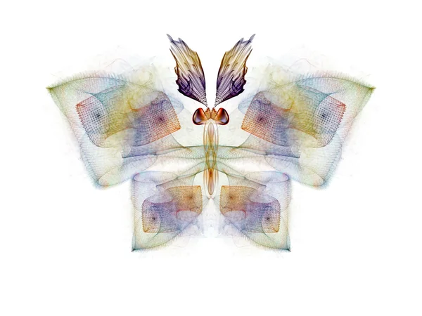 Fraktál pillangó — Stock Fotó