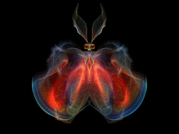 Intricate Butterfly — Stock Photo, Image