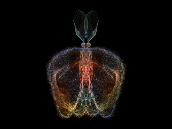 複雑な蝶 — ストック写真