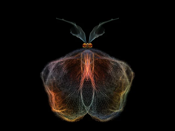 Kaunis perhonen — kuvapankkivalokuva
