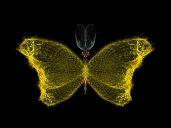 Diseño de mariposa —  Fotos de Stock