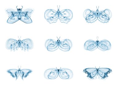 fraktal kelebek çeşitliliği