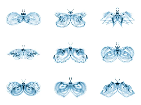Vielfalt fraktaler Schmetterlinge — Stockfoto