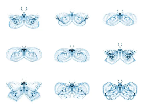 Różnorodność fractal motyle — Zdjęcie stockowe