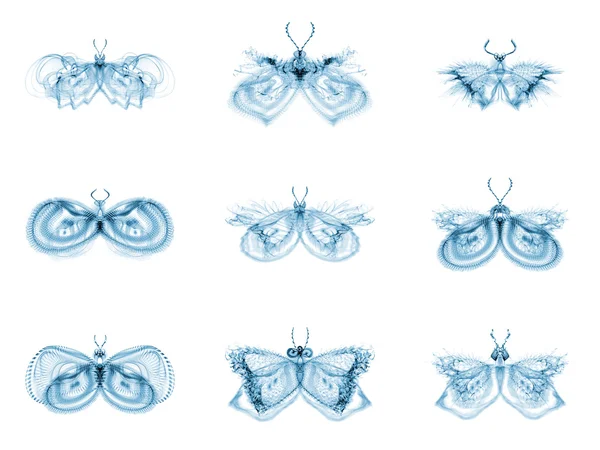 Diversidad de las mariposas fractales — Foto de Stock