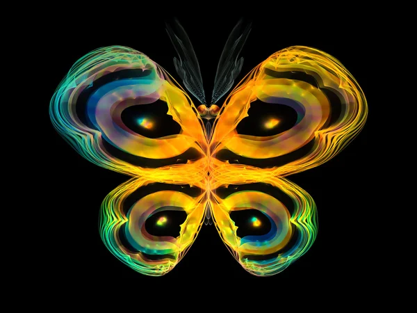 Colorful Butterfly — Stock Photo, Image