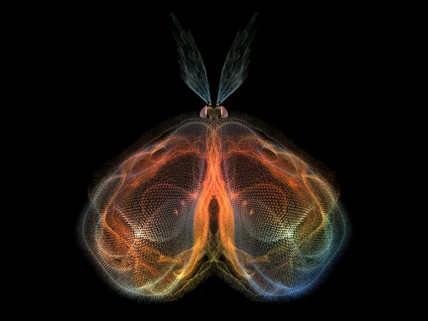 Karmaşık kelebek — Stok fotoğraf