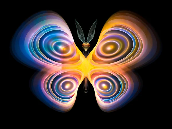 Vivid Butterfly — Stock Photo, Image