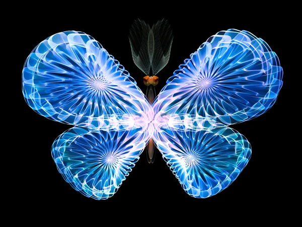 Vivid Butterfly — Stock Photo, Image