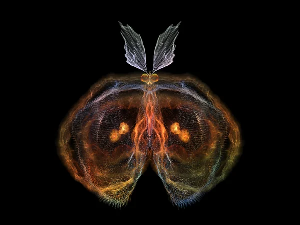 Mariposa Brillante — Foto de Stock