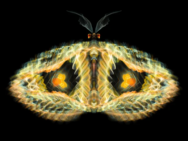 Kelebek tasarım — Stok fotoğraf