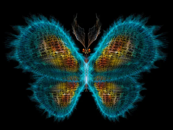 Magic of Butterfly — Stock Photo, Image